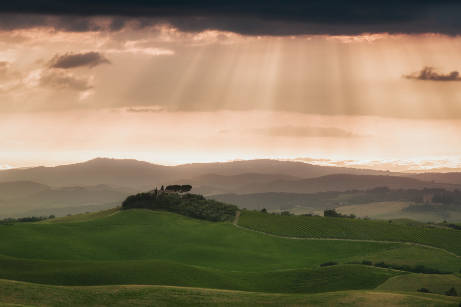 Tuscany Fields